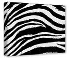 Gallery Wrapped 11x14x1.5  Canvas Art - Zebra