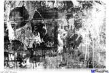 Poster 36"x24" - Graffiti Grunge Skull